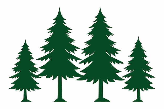 Vector beautiful pine tree vector illustration art