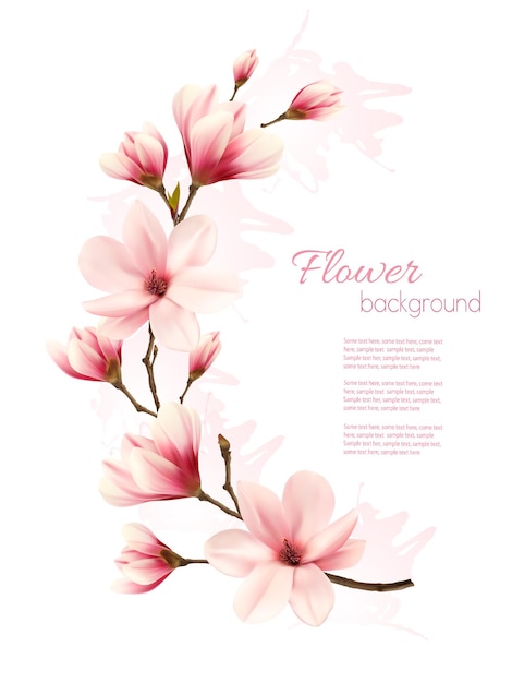 Beautiful pink magnolia background. Vector.