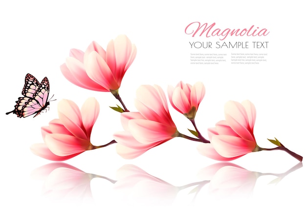 Beautiful pink magnolia background with butterfly. Vector.