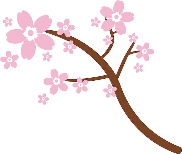 Beautiful pink Sakura Cherry Blossom illustration