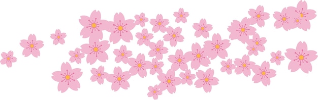 Beautiful pink Sakura Cherry Blossom illustration