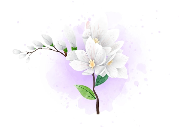 Beautiful pink tulip flower with brunch in watercolors style on purple and white background