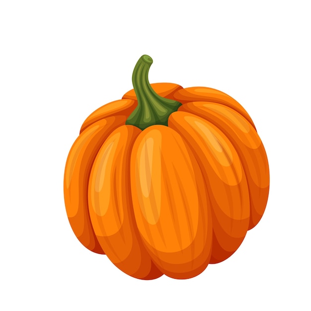 Beautiful pumpkin vegetable illustration