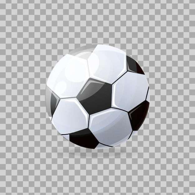 Beautiful realistic classic soccer ball playing football collective occupation