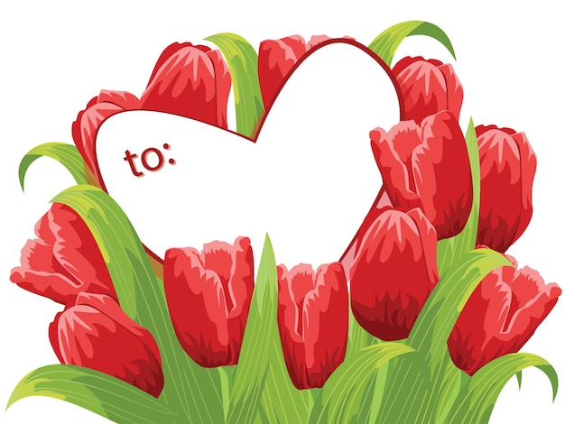 Beautiful red tulips on white background with space for text Top view flat lay