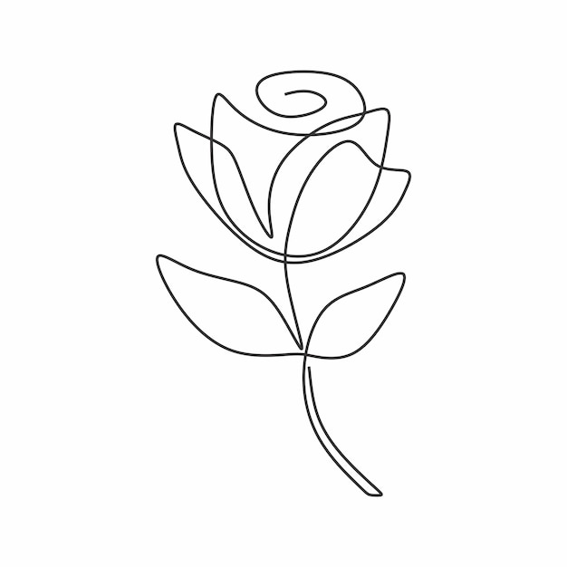 beautiful roses continous drawing single line art