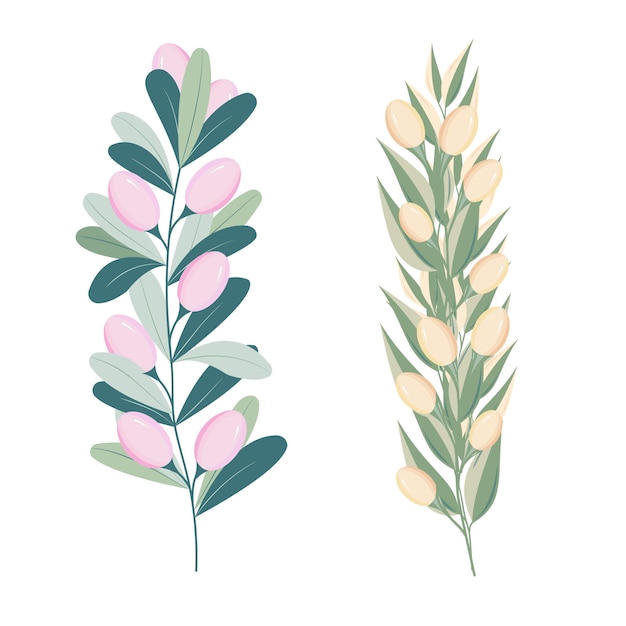 Beautiful set of flowers and plant illustrations