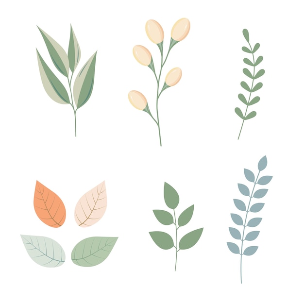 Beautiful set of flowers and plant illustrations