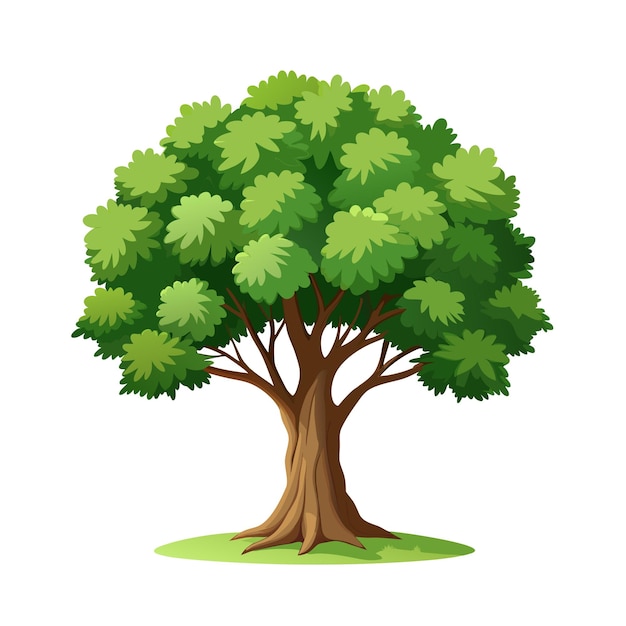 Beautiful Single Big Tree Vector Illustration