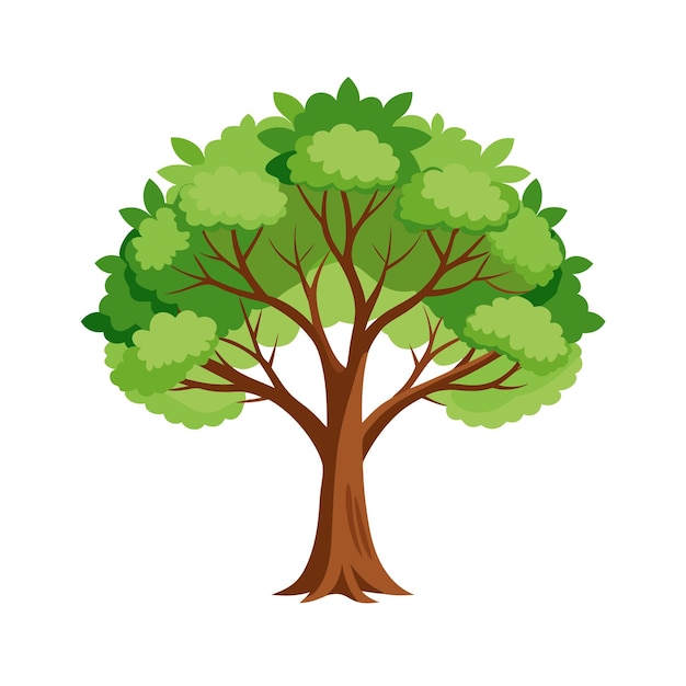 Beautiful Single Big Tree Vector Illustration