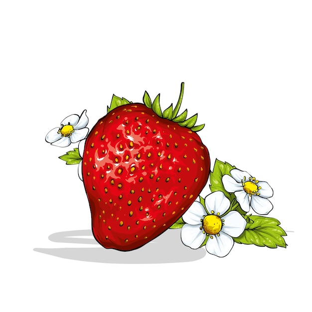 Beautiful strawberry with leaves and flowers