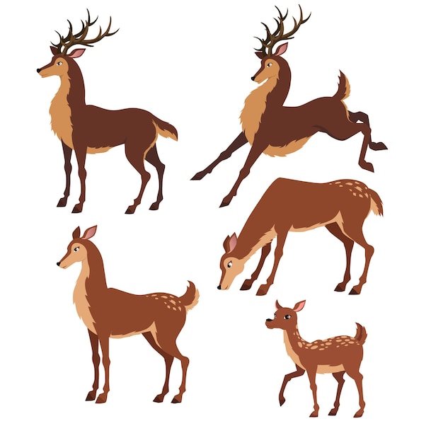 Beautiful stylized cartoon deers on white background Vector illustration