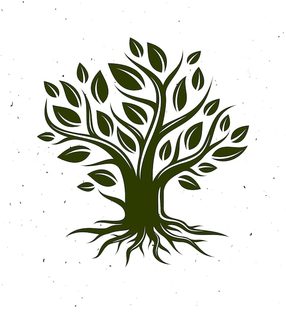 Beautiful tree vector classic style drawing logo or icon, perfect silhouette.