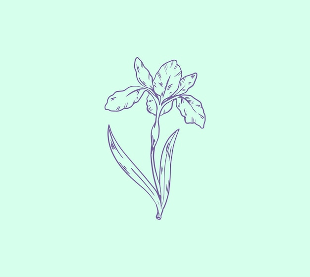 Beautiful Vector Flower 5