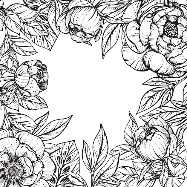 Beautiful vector frame with black and white feverweed protea peony flowers and leaves