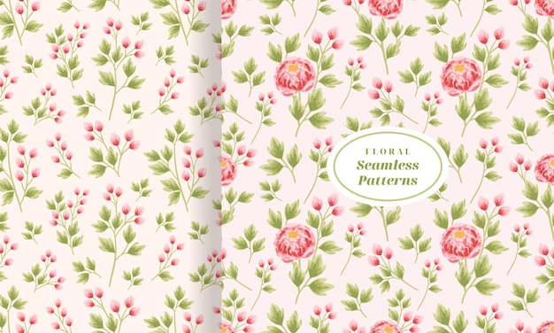 Beautiful Vintage Hand Drawn Garden Peony Flower Seamless Pattern Set