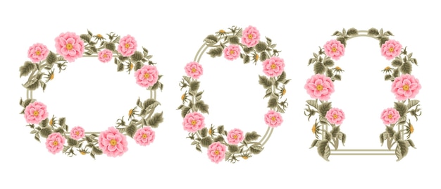 Beautiful vintage hand drawn peach pink garden rose flower wedding arch frame template element set