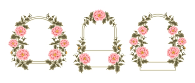 Beautiful vintage hand drawn peach pink garden rose flower wedding arch frame template element set