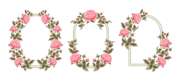 Beautiful vintage hand drawn pink garden rose flower wedding arch frame template element set