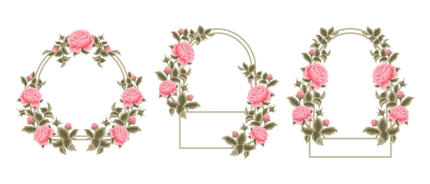 Beautiful vintage hand drawn pink garden rose flower wedding arch frame template element set