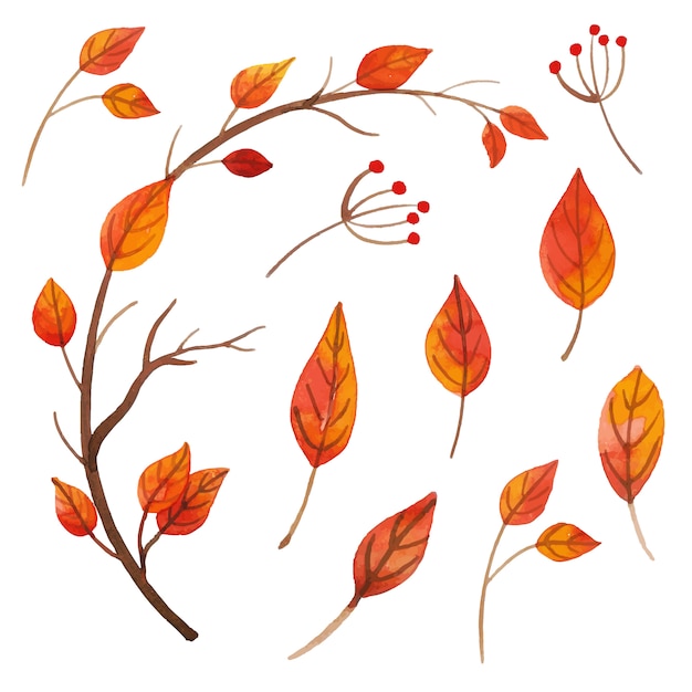 Beautiful Watercolor Autumn Leaves Collection