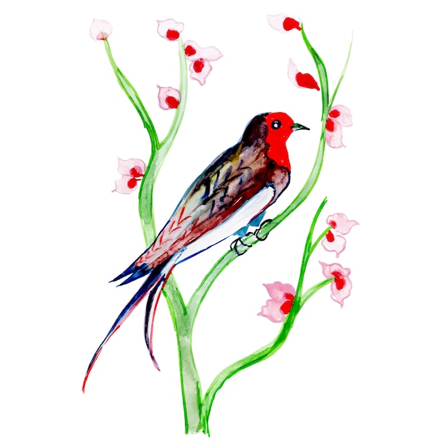 Beautiful Watercolor Exotic Bird on a Branch Background 