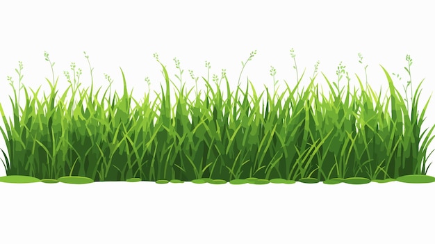 Vector beautifully arranged green grass rows