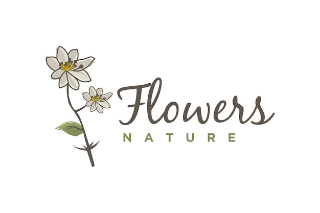 Beauty Artistic Mountain Aven Flower illustration logo design