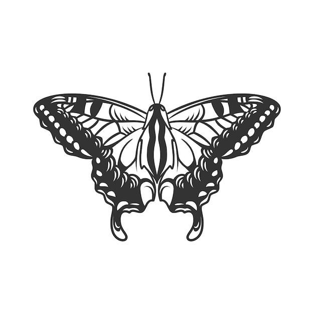 Beauty butterfly line art illustration black and white