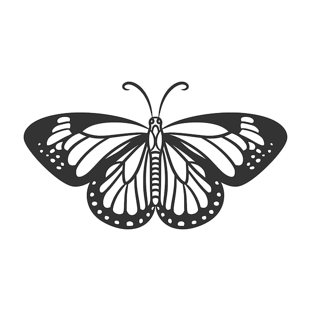 Beauty butterfly line art illustration black and white