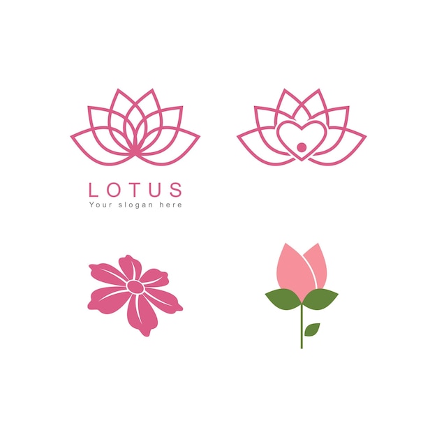 Beauty Lotus flowers