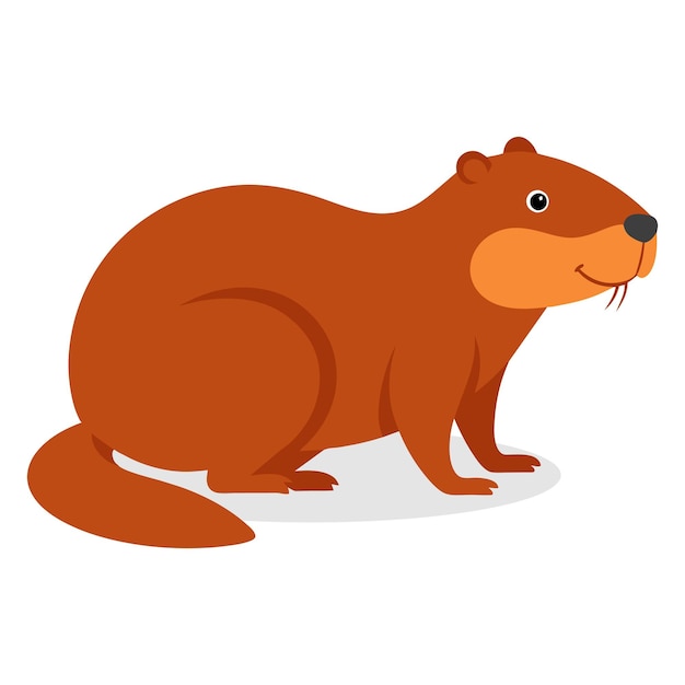 Beaver animal flat vector illustration on white background