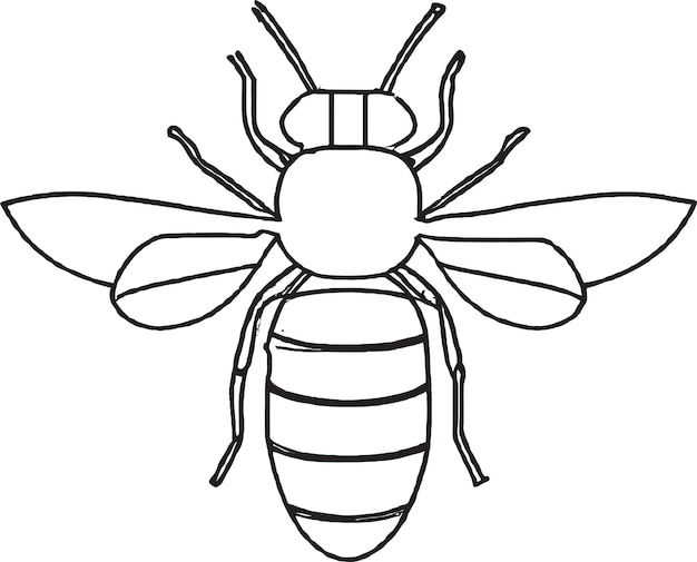 Bee coloring pages for kids - coloring pages for all ages