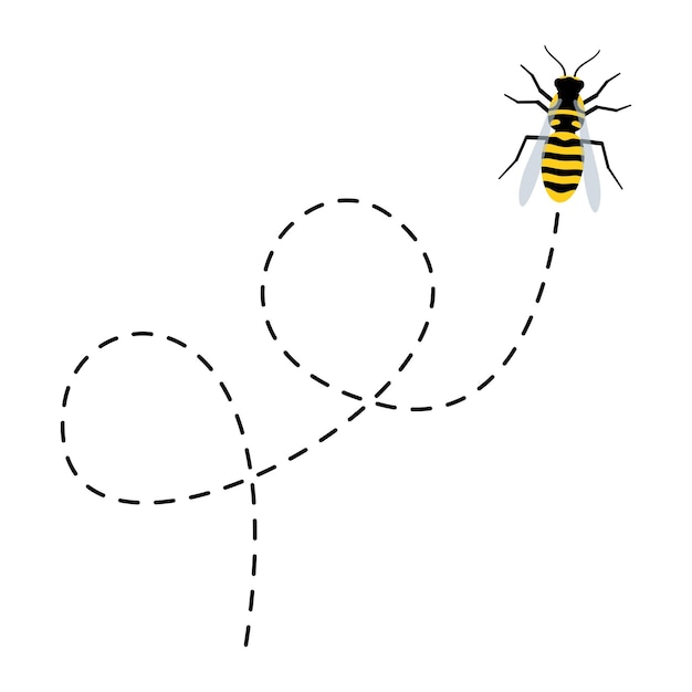 Bee flying on a dotted route