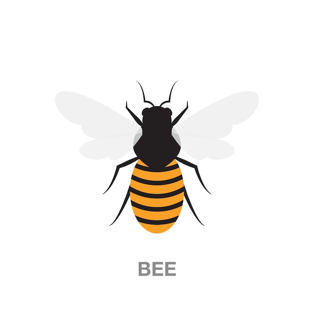 Bee illustration on transparent background