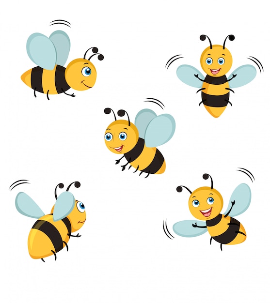 Bee illustration