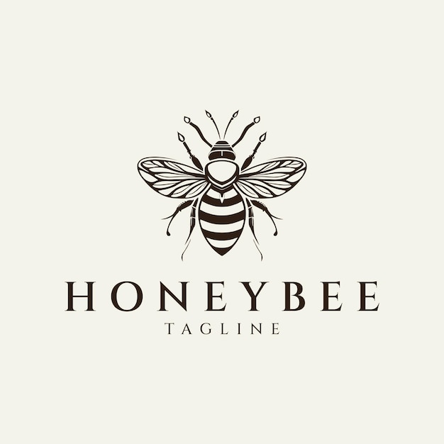 Bee logo design vector illustration