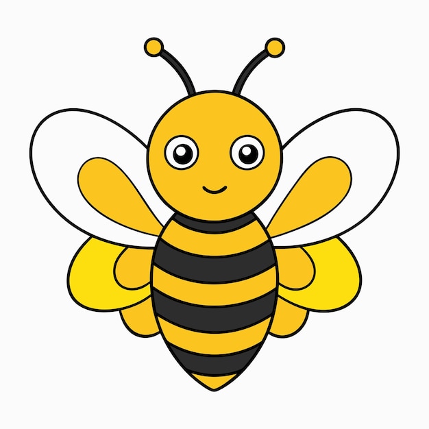 bee vector and illustration in white background