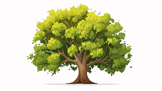 Beech Tree Isolated Flat Vector Illustration Cartoon