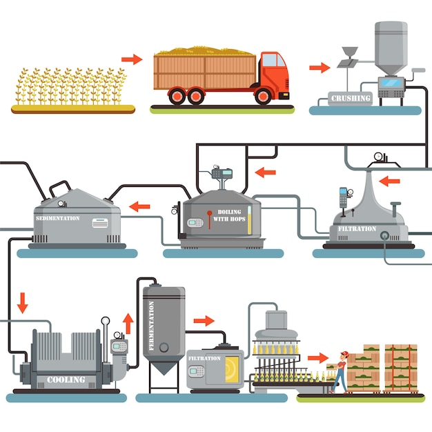 Beer brewing process, production of beer  Illustrations  on a white background