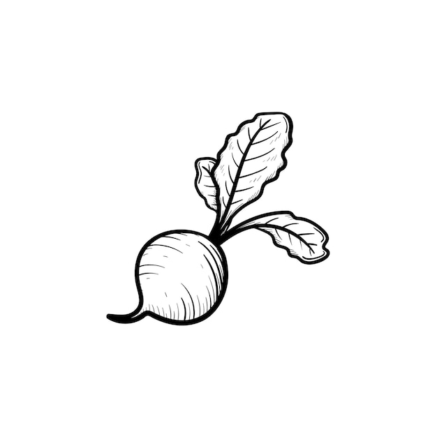 Beet hand drawn sketch icon