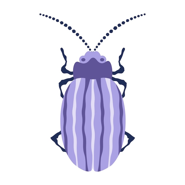 A beetle on an insulated layer