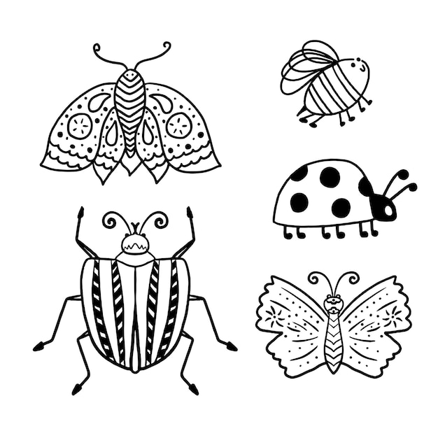 Beetles and butterfly Set of cute hand drawn meadow icons in doodle style Black on white vector set