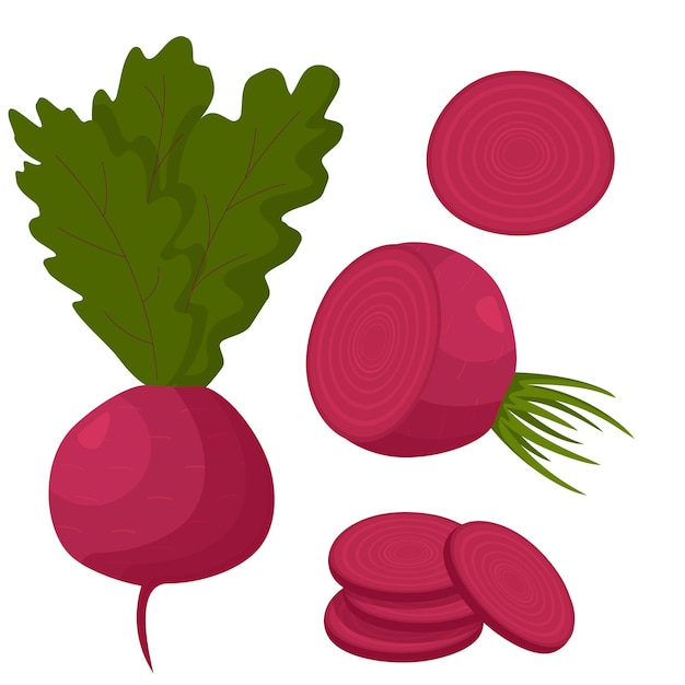 Beetroot whole and cut isolated on a white background in a flat style