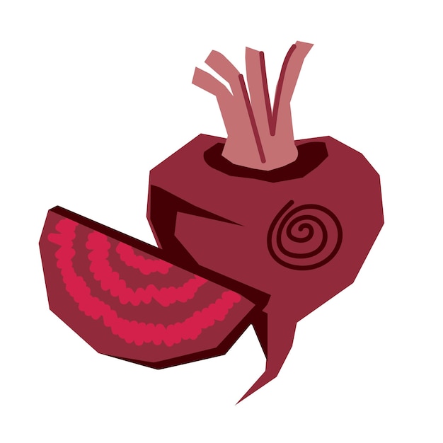 Beetroot whole and slice flat hand drawn vector illustration isolated