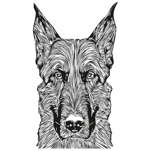 Belgian Malinois dog logo hand drawn line art vector drawing black and white pets illustration