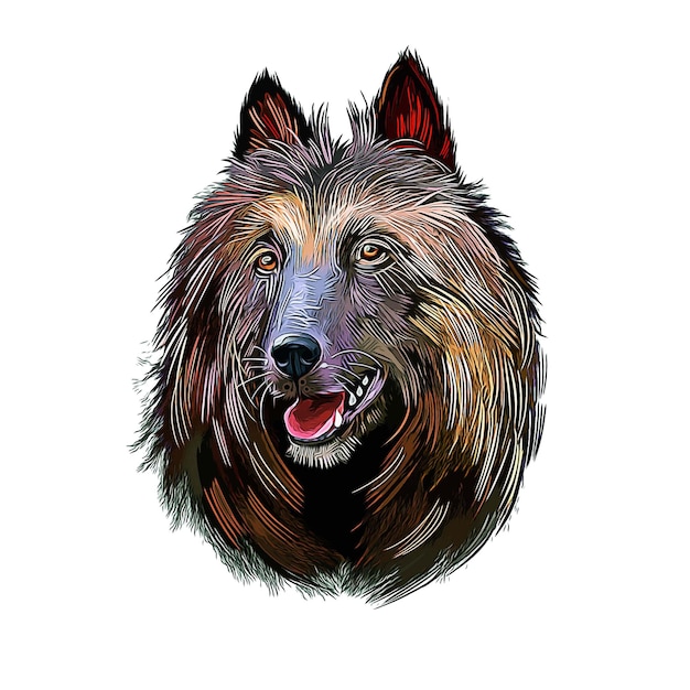 Belgian Tervuren Dog Breed Watercolor Sketch Hand Drawn Paint Illustration