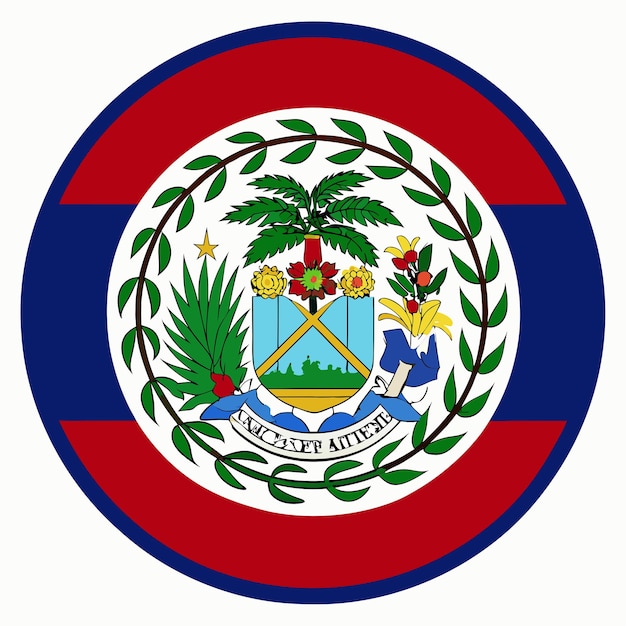 Belize flag illustration on white background