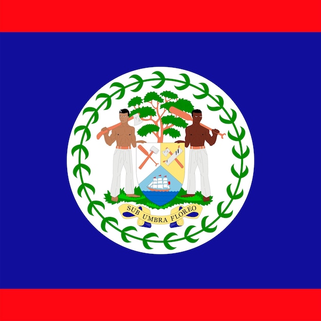 Belize flag official colors Vector illustration