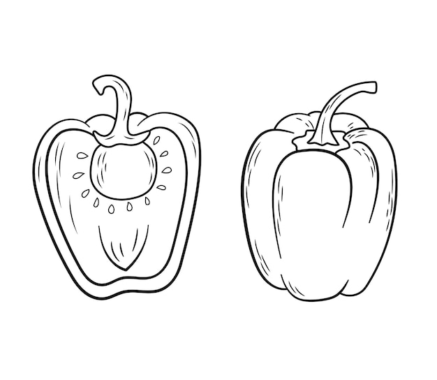 Bell pepper line art isolated on white Paprika whole and half outline vector illustration